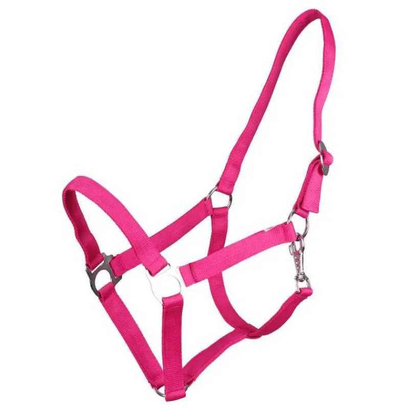 Q-ESSENTIALS Licol nylon glissière> Licol Poulain Et Shetland|Licol Nylon