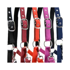 HORSE & GO Licol nylon> Longe De Travail|Licol Nylon