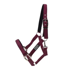 STATIONATA Licol nylon renforcé><noscript><img data-lazyloaded=