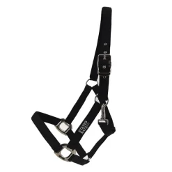 STATIONATA Licol nylon renforcé><noscript><img data-lazyloaded=