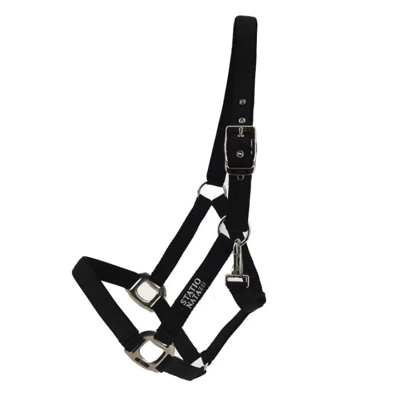STATIONATA Licol nylon renforcé> Licol Nylon