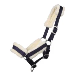 Q-ESSENTIALS Licol poulain avec fourrure> Licol Poulain Et Shetland|Licol Nylon