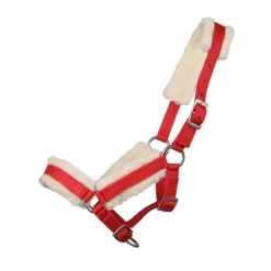 Q-ESSENTIALS Licol poulain avec fourrure><noscript><img data-lazyloaded=