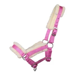 Q-ESSENTIALS Licol poulain avec fourrure><noscript><img data-lazyloaded=