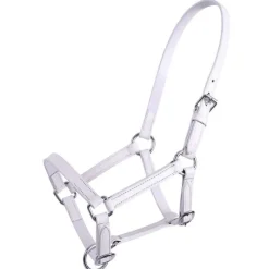 Q-ESSENTIALS Licol poulain en cuir Chico QHP> Licol Poulain Et Shetland|Licol En Cuir