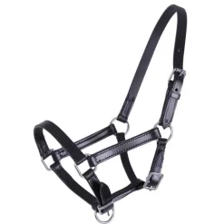 Q-ESSENTIALS Licol poulain en cuir Chico QHP><noscript><img data-lazyloaded=
