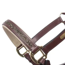 QHP Licol poulain en cuir Lupine><noscript><img data-lazyloaded=