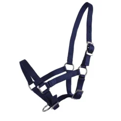 Q-ESSENTIALS Licol poulain> Licol Poulain Et Shetland|Licol Nylon