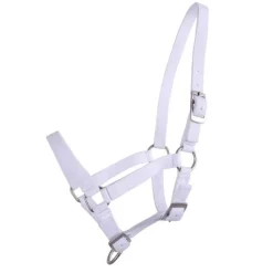 Q-ESSENTIALS Licol poulain><noscript><img data-lazyloaded=