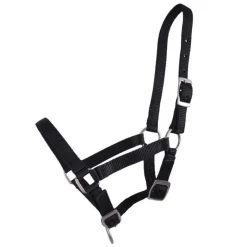 Q-ESSENTIALS Licol poulain><noscript><img data-lazyloaded=