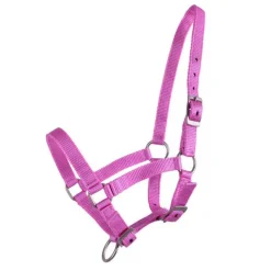 Q-ESSENTIALS Licol poulain><noscript><img data-lazyloaded=