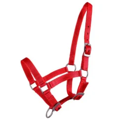 Q-ESSENTIALS Licol poulain><noscript><img data-lazyloaded=
