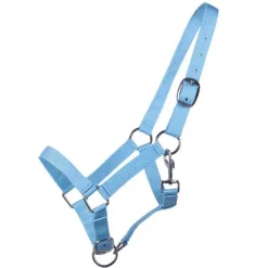Q-ESSENTIALS Licol poulain Yearling QHP> Licol Poulain Et Shetland|Licol Nylon