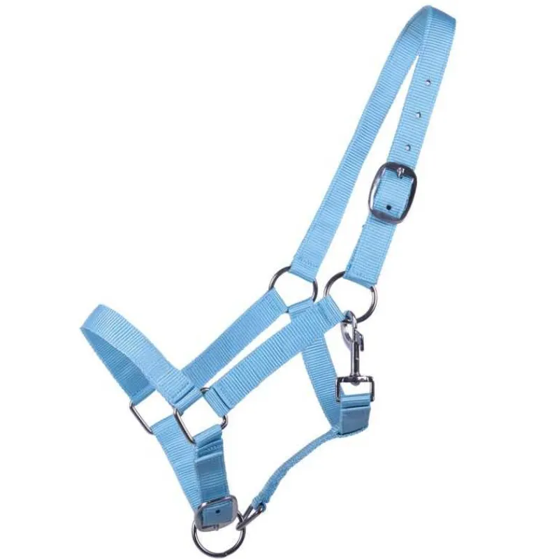 Q-ESSENTIALS Licol poulain Yearling QHP> Licol Poulain Et Shetland|Licol Nylon
