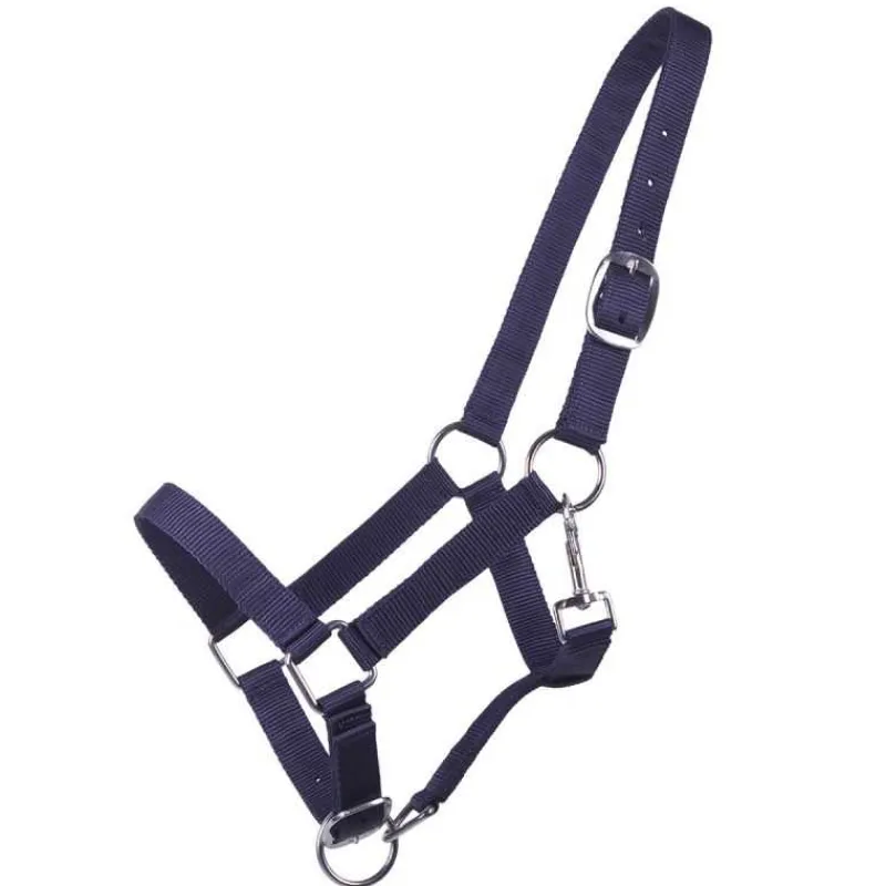 Q-ESSENTIALS Licol poulain Yearling QHP> Licol Poulain Et Shetland|Licol Nylon