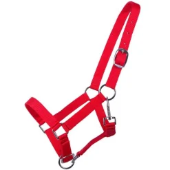 Q-ESSENTIALS Licol poulain Yearling QHP><noscript><img data-lazyloaded=
