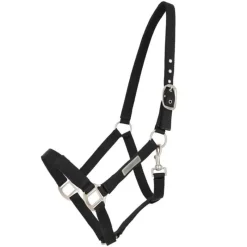 QHP Licol pour harnacher> Licol Nylon