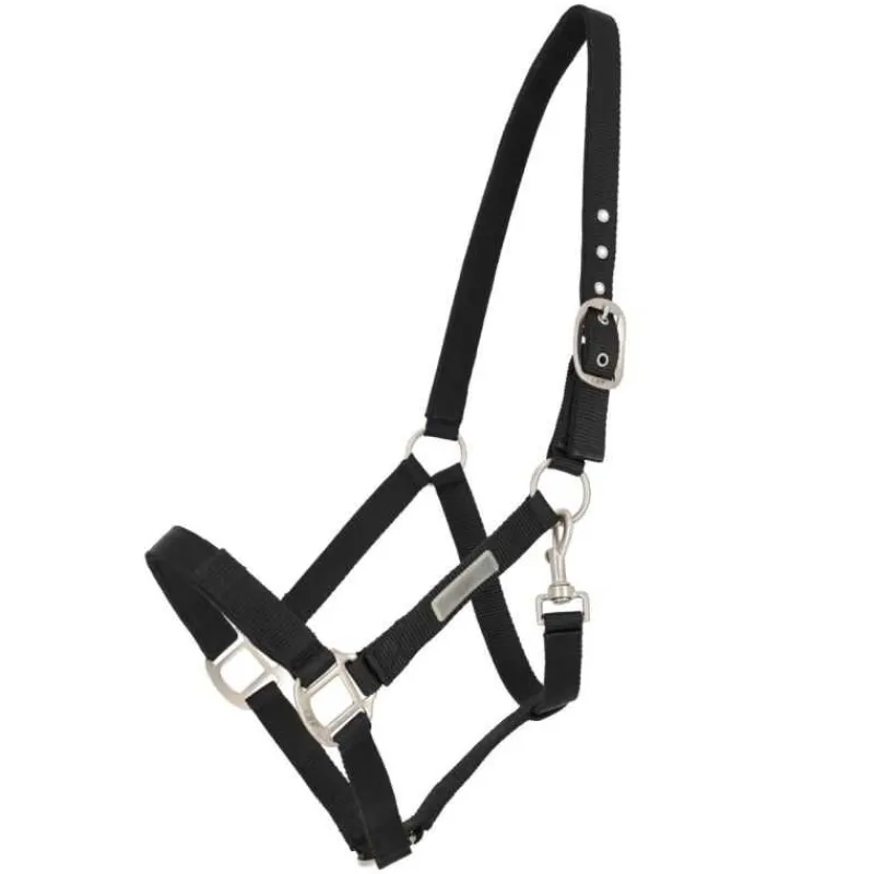 QHP Licol pour harnacher> Licol Nylon