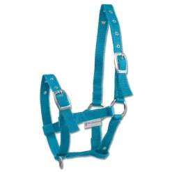WALDHAUSEN Licol pour poulain triple><noscript><img data-lazyloaded=