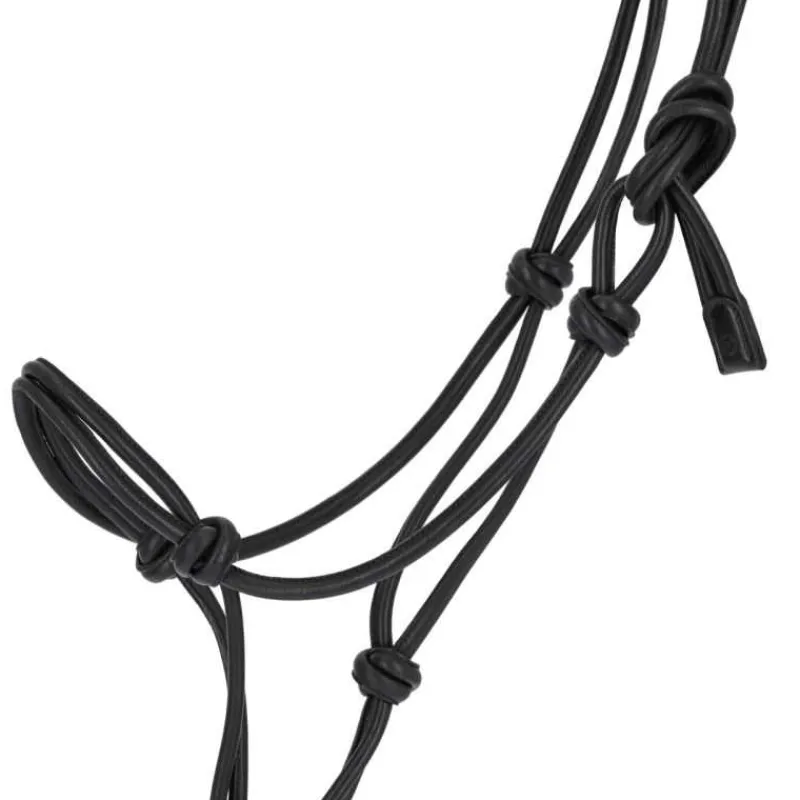 QHP Licol éthologique cuir Liberta> Licol Éthologique|Licol Éthologique