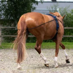 QHP Longues rênes - 16m> Enrênements Spéciaux|Enrênements Spéciaux