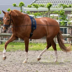 QHP Longues rênes - 16m><noscript><img data-lazyloaded=
