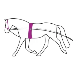 QHP Longues rênes - 16m><noscript><img data-lazyloaded=