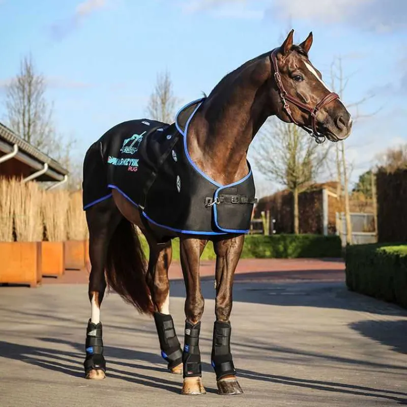 VEREDUS Magnetik Rug - Couverture de magnéto-thérapie pour chevaux> Massage|Massage