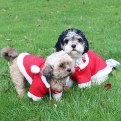 QHP Manteau pour chien Noël> Le Chien