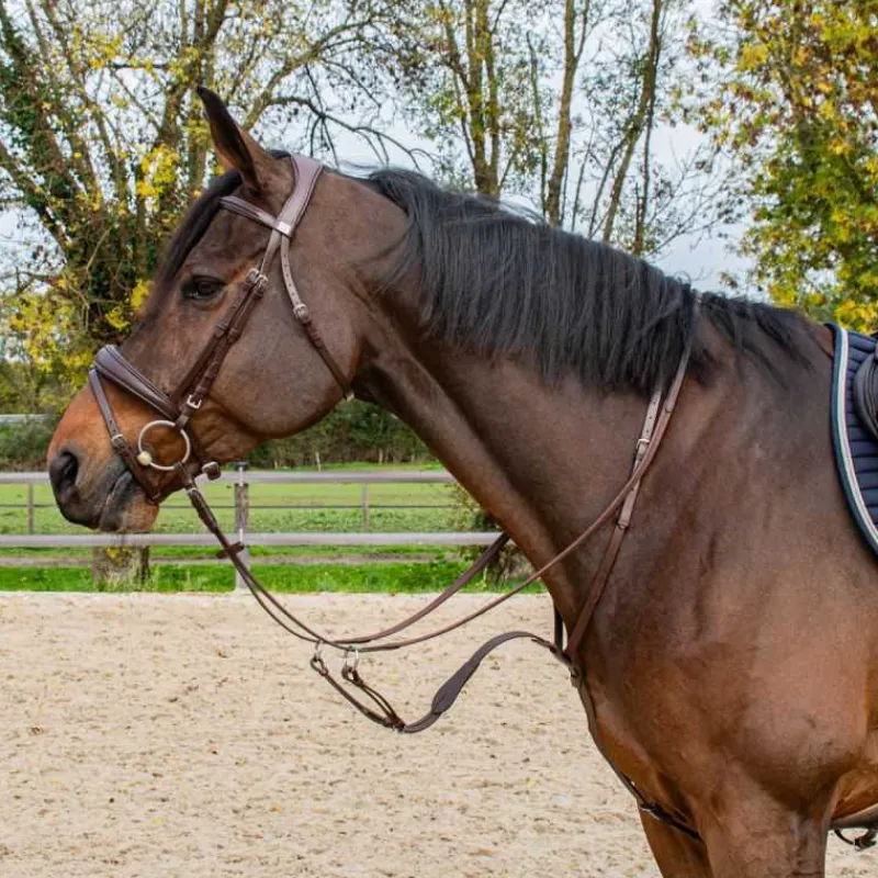 HORSE & GO Martingale à anneaux> Martingale