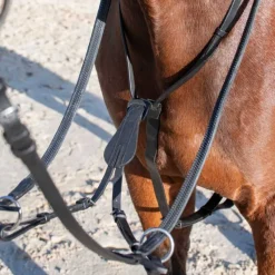 HORSE & GO Martingale à anneaux><noscript><img data-lazyloaded=