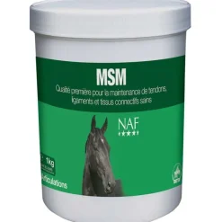NAF MSM> Locomotion