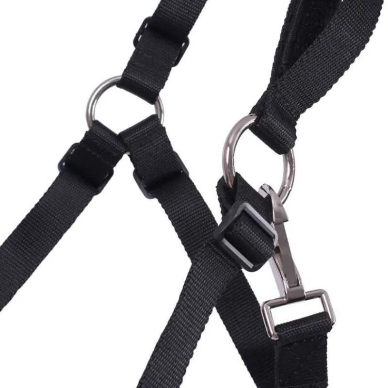 QHP Muselière Q-essentials> Paniers Muselières|Paniers Muselières