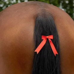QHP Noeud rouge pour queue concours> Nattage|Résilles Et Barrettes