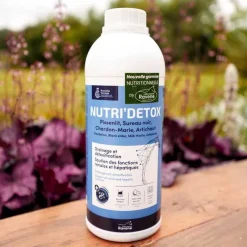 RAVENE Nutri Detox><noscript><img width=