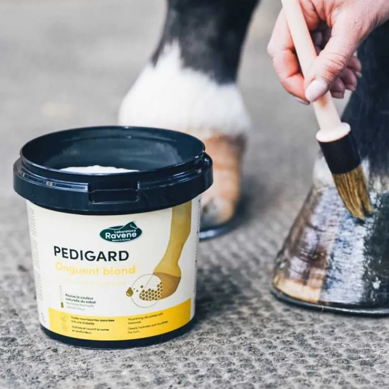RAVENE Onguent blond Pedigard - 1L> Onguents