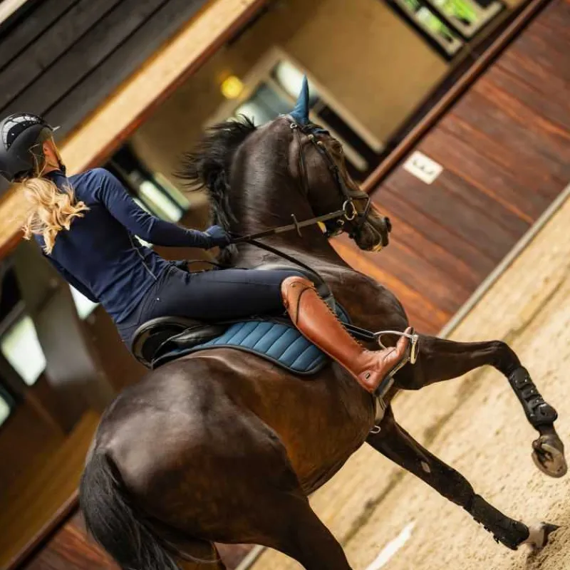 QHP Pantalon femme Lymee Softshell Full grip> Pantalon D'Équitation