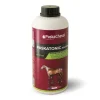 PASKACHEVAL Paskatonic Solution> Performance