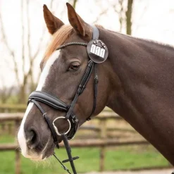 QHP Porte Numéro Riki (Lot de 2)> Dossards D'Équitation