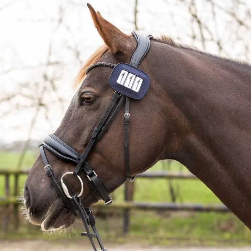 QHP Porte numéro Shine> Dossards D'Équitation