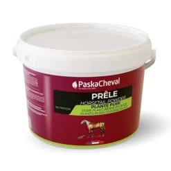 PASKACHEVAL Prele Appareil articulaire -> Locomotion