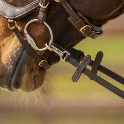 QHP Rênes antidérapantes avec mousqueton> Rênes Et Arrêtoirs