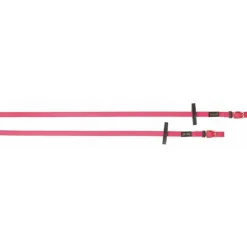 BIOTACK® Rênes Biotack T de T><noscript><img data-lazyloaded=