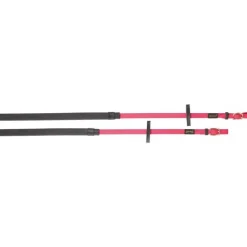 BIOTACK® Rênes Biotack T de T><noscript><img data-lazyloaded=