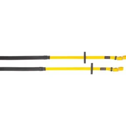 BIOTACK® Rênes Biotack T de T><noscript><img data-lazyloaded=