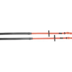 BIOTACK® Rênes Biotack T de T><noscript><img data-lazyloaded=