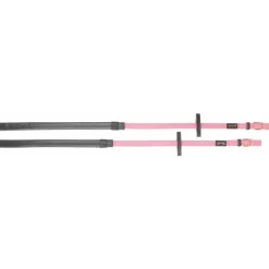 BIOTACK® Rênes Biotack T de T><noscript><img data-lazyloaded=