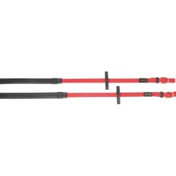 BIOTACK® Rênes Biotack T de T><noscript><img data-lazyloaded=