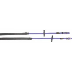 BIOTACK® Rênes Biotack T de T><noscript><img data-lazyloaded=