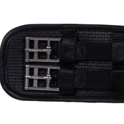 QHP Sangle de dressage Basic Pro><noscript><img data-lazyloaded=